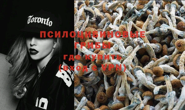 apvp Пестово